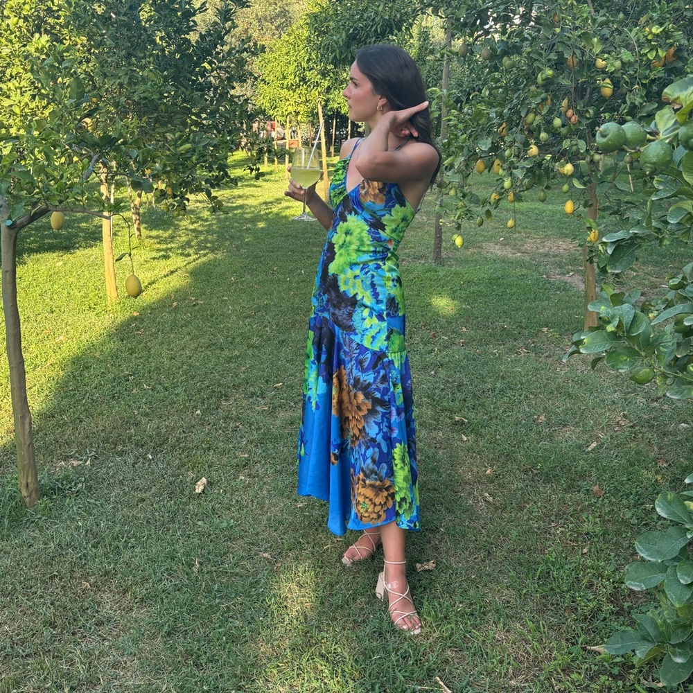 Anthropologie Delfi Collective Blue Floral Drop Waist Dress - Picture 2 of 6